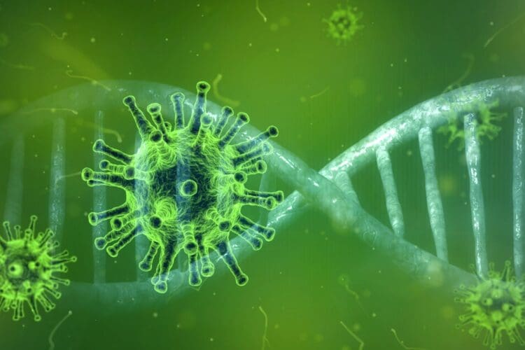 Rapid Antigen Tests Kit